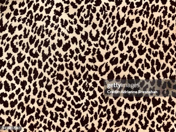 animal print background - leopardenfell stock-fotos und bilder