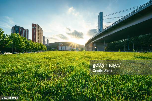 lawn below a viaduct - low angle view ストックフォトと画像
