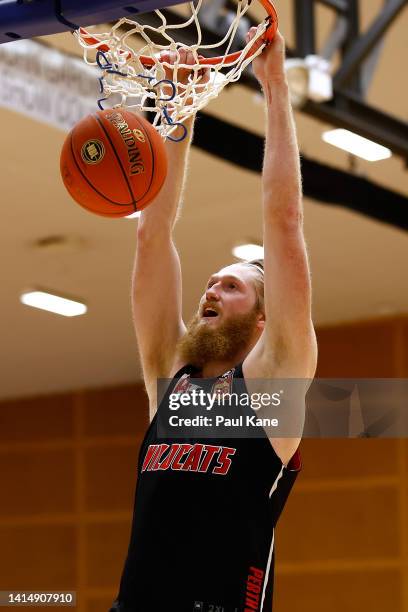 Brady Manek of the Wildcats dunks the ball during a Perth Wildcats NBL training session at Bendat Basketball Centre on August 15, 2022 in Perth,...