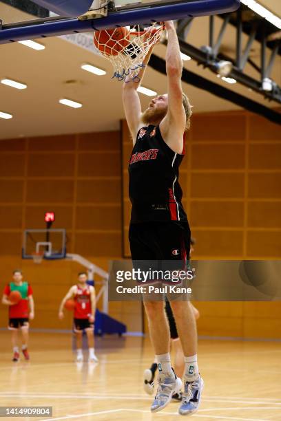Brady Manek of the Wildcats dunks the ball during a Perth Wildcats NBL training session at Bendat Basketball Centre on August 15, 2022 in Perth,...