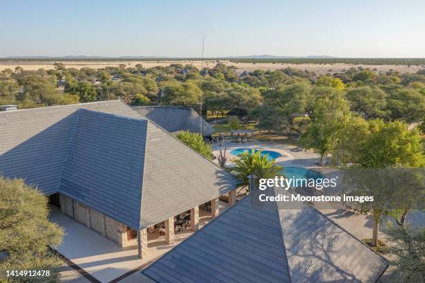 resort swimming pool at okaukuejo camp in etosha national park in kunene region, namibia - kunene region bildbanksfoton och bilder