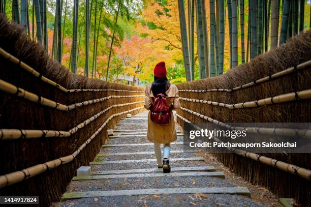 row of autumn - arashiyama stock pictures, royalty-free photos & images