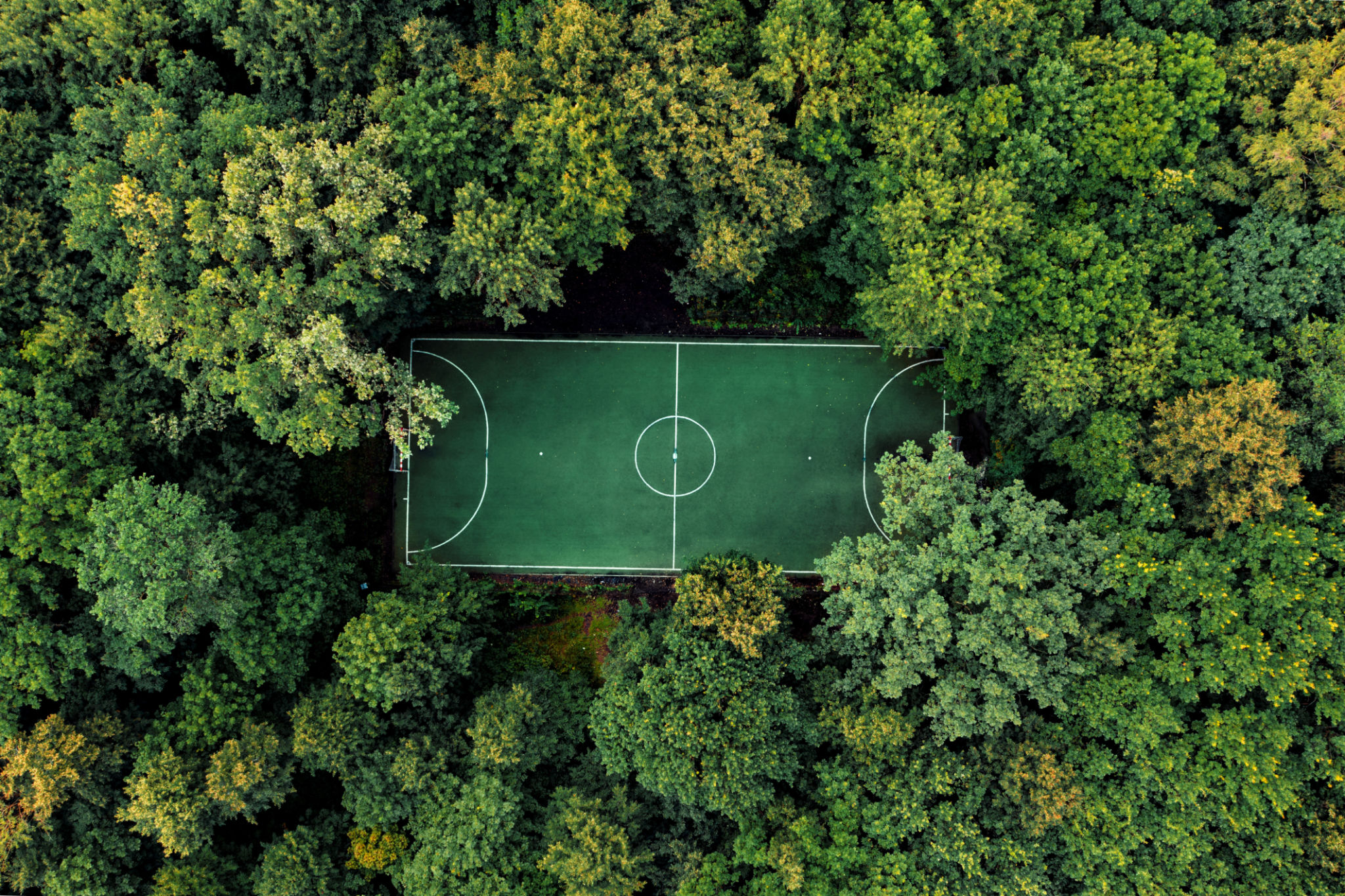 safe sports environment
