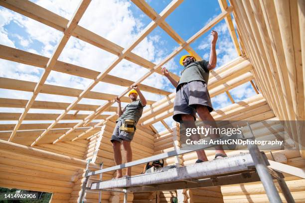 il lavoro di squadra è un lavoro da sogno. - log cabin foto e immagini stock