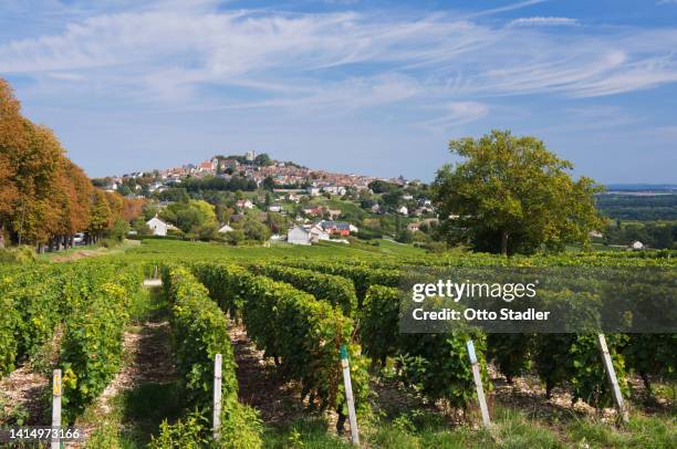 the vineyards of sancerre in the loire valley - loire stock pictures, royalty-free photos & images