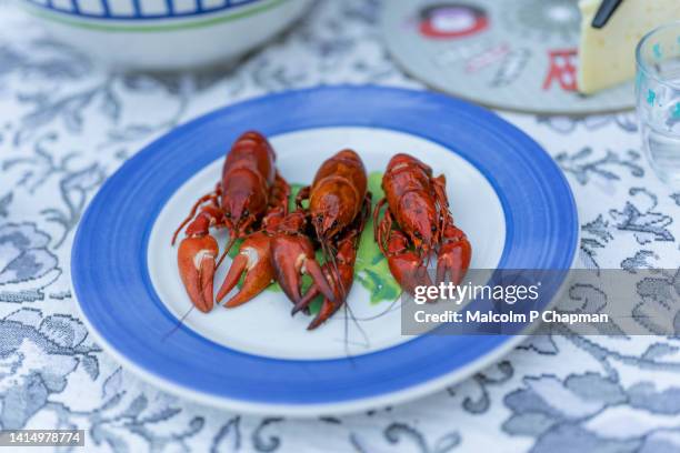 swedish crayfish parties, kräftskiva, are held each year during august and september - crayfish stock pictures, royalty-free photos & images