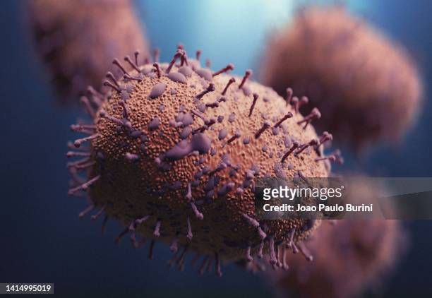 structure of the h1n1 swine flu virus isolated - maladie zoonotique photos et images de collection