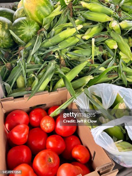 fresh iowa farm produce for sale in the summer - colorful vegetables summer stock-fotos und bilder
