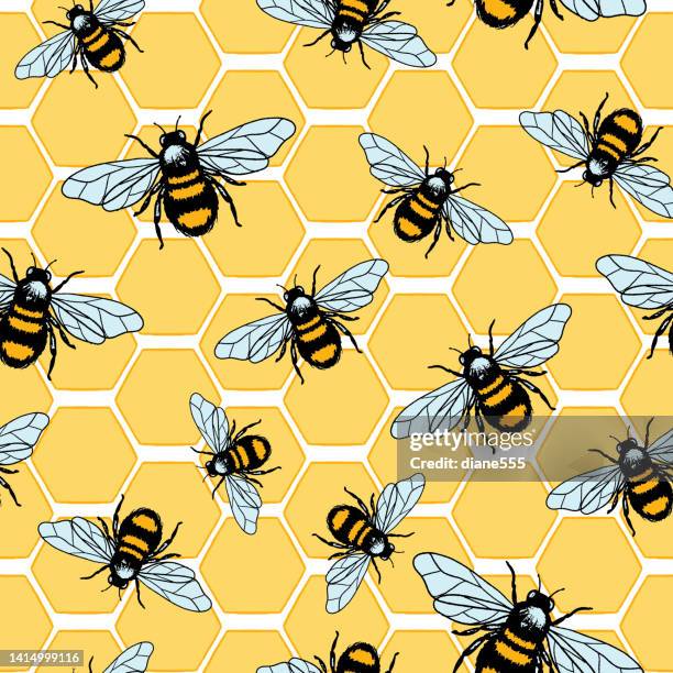 bumble bee and honeycomb seamless pattern - bumblebee background stock illustrations