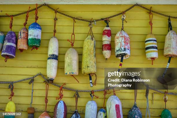 lobster buoys hanging from a rope in alma, new brunswick, canada - vila de pescadores - fotografias e filmes do acervo
