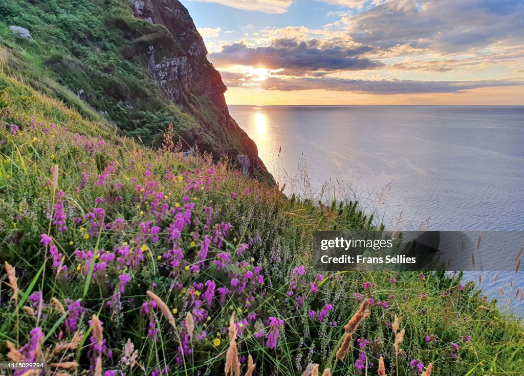 Sunset at Srón Bhroin (Brandon Point), Ring of Dingle, Ireland