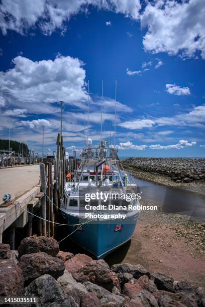 boat resting on the harbor bottom at low tide in the bay of fundy in alma, new brunswick, canada - bay of fundy stockfoto's en -beelden