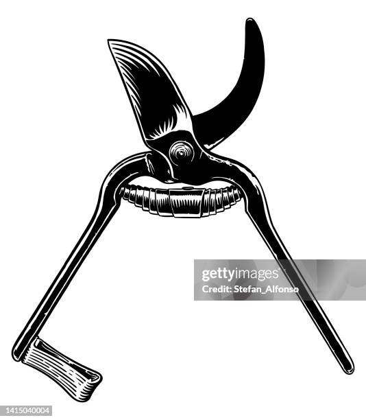 vector drawing of a pruning shears - prune stock illustrations
