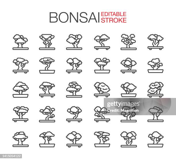 illustrations, cliparts, dessins animés et icônes de icônes de bonsaï contour modifiable - érable