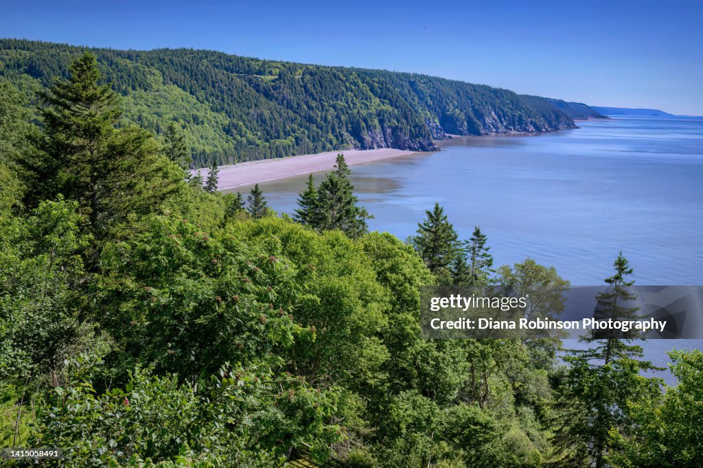 View of cliffs, trees and a sand beach along the Fundy Trail Parkway, New Brunswick, Canada