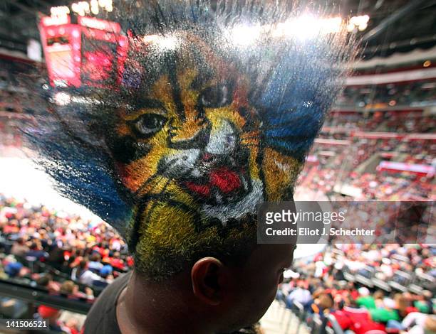 Florida Panther fan Mohawk Gaz shows his support during the game against the Buffalo Sabres at the BankAtlantic Center on March 17, 2012 in Sunrise,...