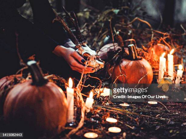 halloween - séance photo stock pictures, royalty-free photos & images