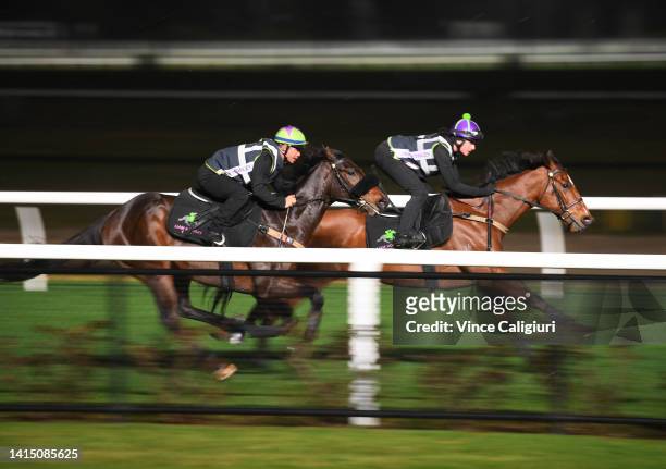 Voliero and Virtuous Circle from Liam Howley racing during jump outs at Moonee Valley Racecourse on August 16, 2022 in Melbourne, Australia.