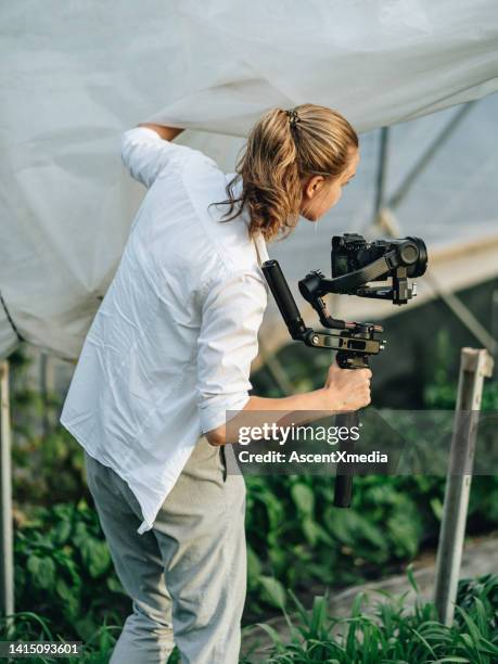 cinematographer shoots in greenhouse - cinematografi bildbanksfoton och bilder