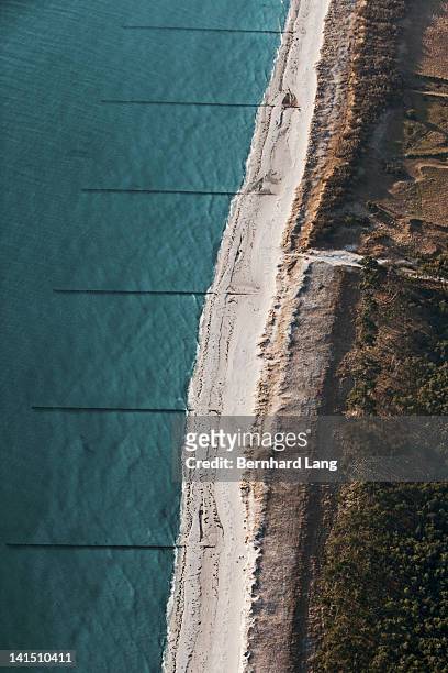 aerial view of beach and groynes, insel hiddensee - hiddensee photos et images de collection