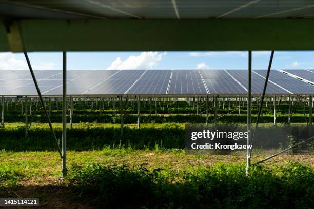 Home Generator Install Photos and Premium High Res Pictures - Getty Images