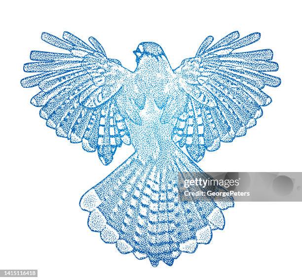 blue jay with spread wings - blue jay flying stock illustrations