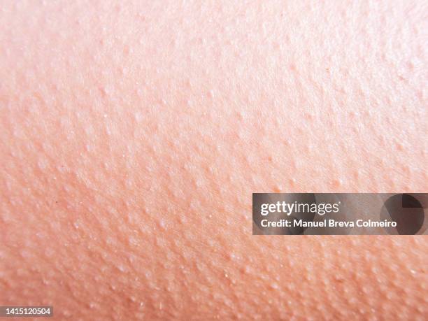 skin texture - wax figures stock pictures, royalty-free photos & images