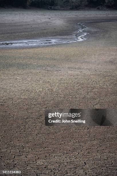 View of the low water levels and parched earth now visible at the Sutton Bingham reservoir on August 14,2022 near Yeovil, England. After a prolonged...