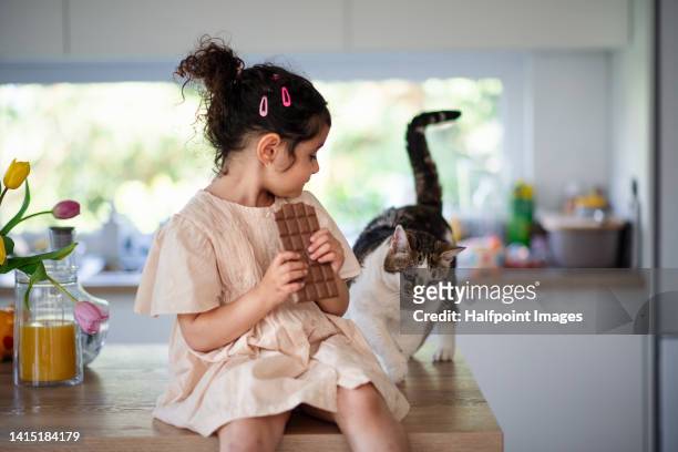little multiracial girl sitting in kitchen and eating chocolatewith her cat behind her. - caught in the act fotografías e imágenes de stock