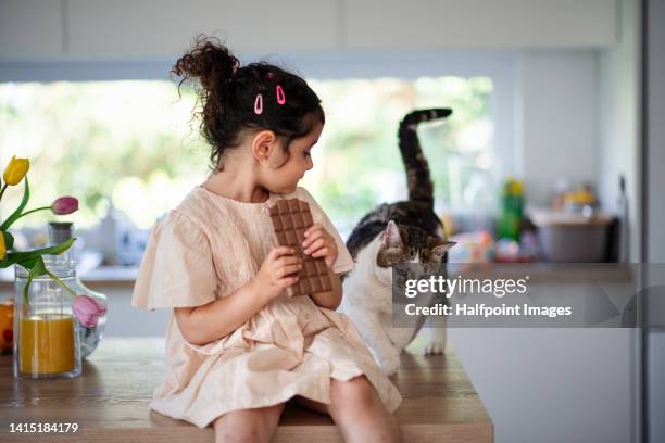 little multiracial girl sitting in kitchen and eating chocolatewith her cat behind her. - naughty pet stock pictures, royalty-free photos & images