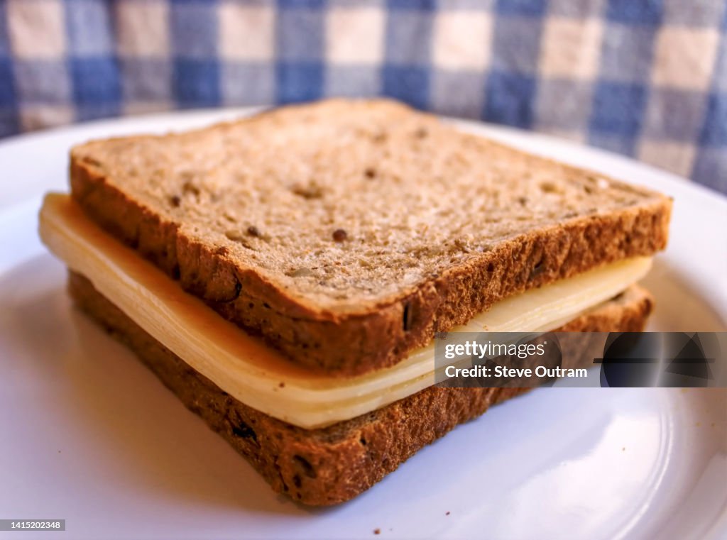 Greek Whole Wheat Multi Seeded Bread Sanwdich with Edam Cheese Slices