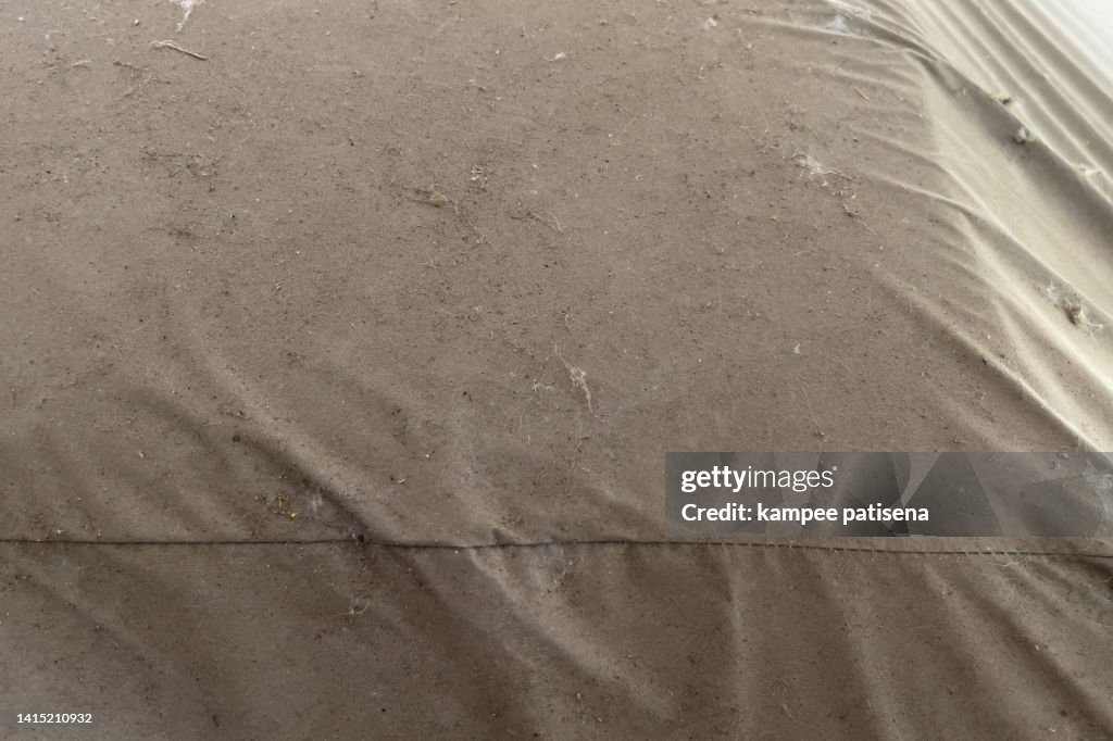 Close Up View Of Car Covered with dust
