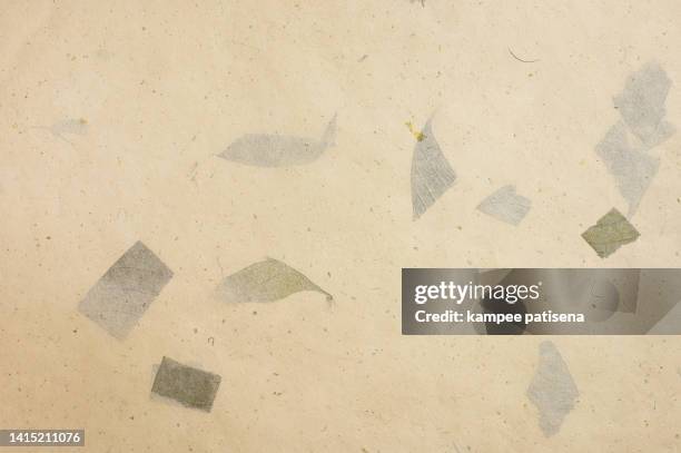 mulberry paper with leaf texture background - dried plant stock pictures, royalty-free photos & images