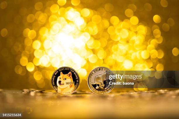 dogecoin and shiba inu cryptocurrency on shiny background - shiba inu lights 個照片及圖片檔