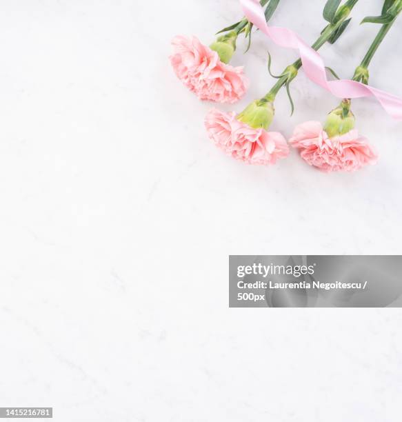 beautiful,elegant pink carnation flower over bright white marble table background,concept of mothe - flower arrangement carnation ストックフォトと画像