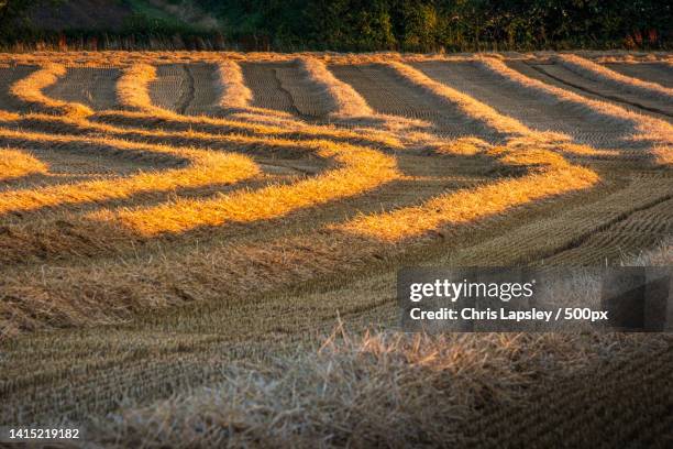 16 Earl Shilton Stock Photos, HighRes Pictures, and Images Getty Images