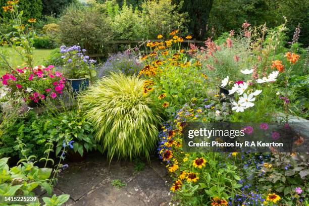 brightly coloured plants in pots in a summer garden - jardín privado fotografías e imágenes de stock