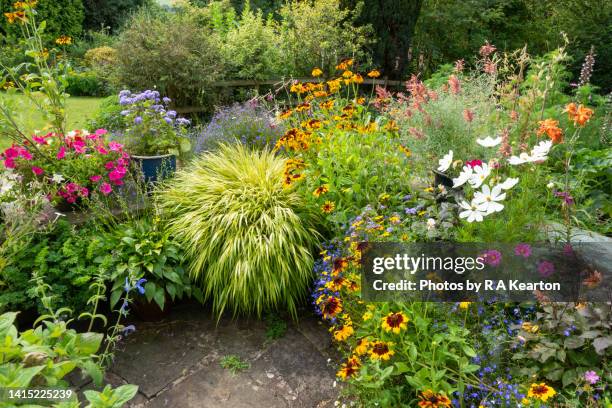 brightly coloured plants in pots in a summer garden - perennial fotografías e imágenes de stock