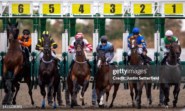 Runners and riders leave the starting gates for the Follow Vickers.Bet On Facebook And Twitter Handicap at Chelmsford Races on August 16, 2022 in...