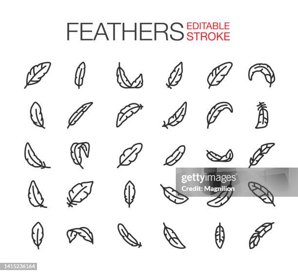 ilustrações de stock, clip art, desenhos animados e ícones de feathers icons editable stroke - pena