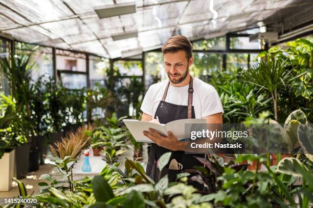 florist überprüft topfpflanzen im blumenladen - gärtnerei stock-fotos und bilder