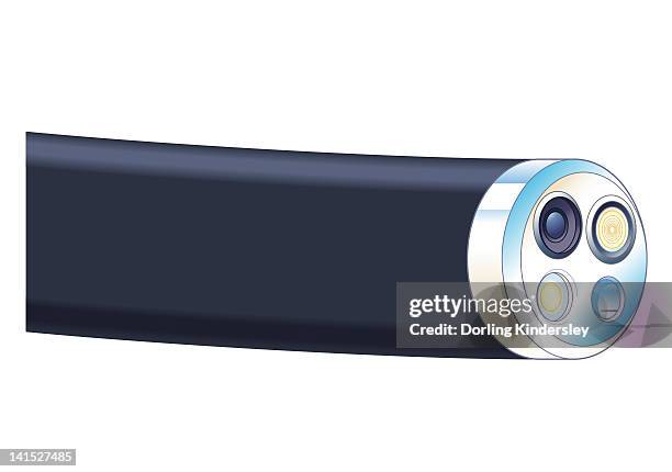 biomedical illustration of tip of flexible endoscope - 内視鏡点のイラスト��素材／クリップアート素材／マンガ素材／アイコン素材