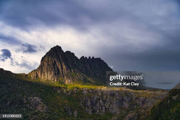 cradle mountain, tasmania - cradle mountain stock pictures, royalty-free photos & images
