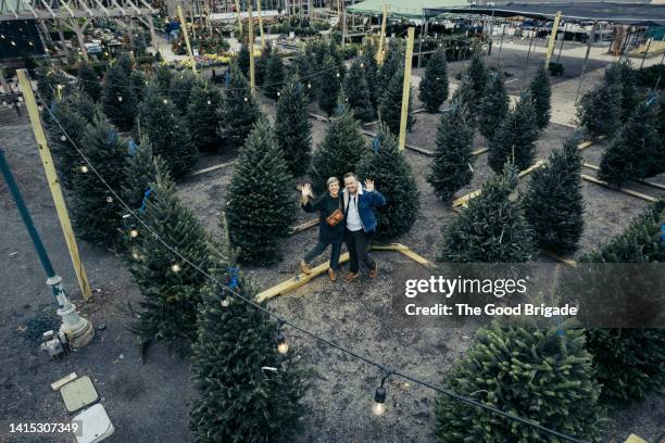 high angle view of smiling couple waving while standing in christmas tree lot - christmas tree farm fotografías e imágenes de stock