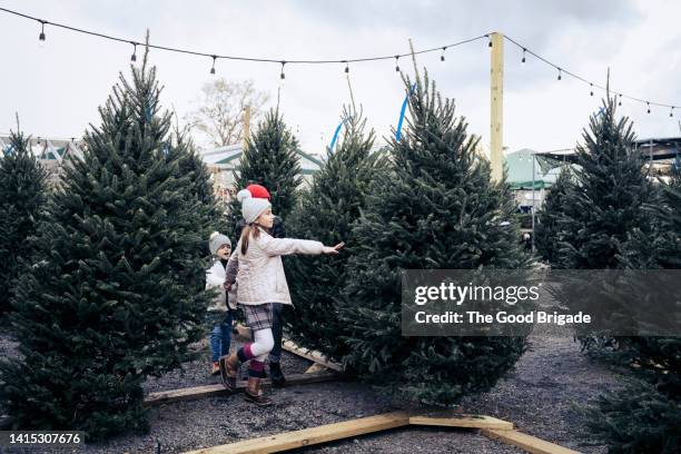 siblings walking together in christmas tree farm - tree plantation stock pictures, royalty-free photos & images