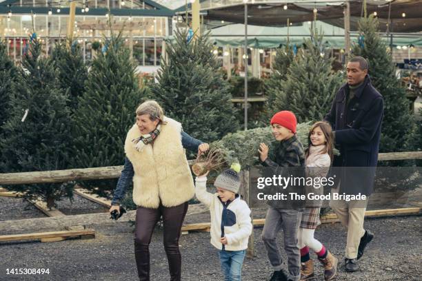 excited family carrying christmas tree while leaving garden center - christmas family tree ストックフォトと画像
