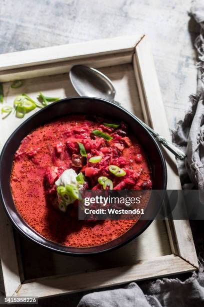 bowl ofready-to-eatborscht with kidney beans - borschtsch stock-fotos und bilder