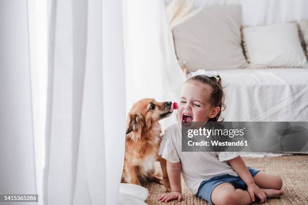 dog licking little girl face at home - kid face dog lick fotografías e imágenes de stock