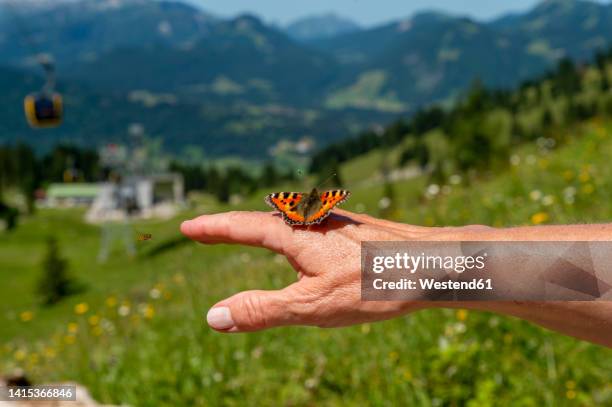 butterfly on hand of senior woman with landscape in background - butterfly hand imagens e fotografias de stock