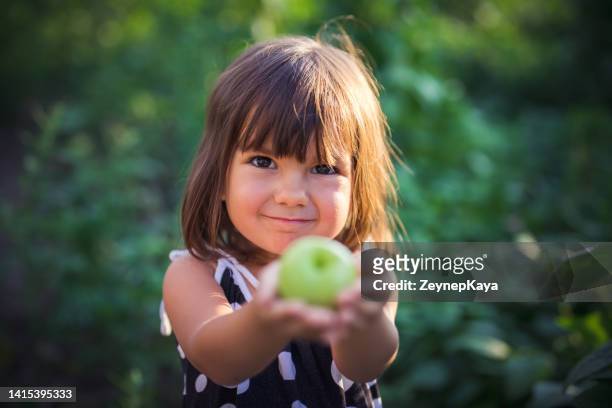 petite fille montrant une pomme fraîchement cueillie - kids play apple photos et images de collection